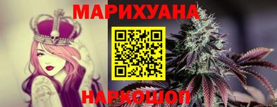 a pvp Камышлов