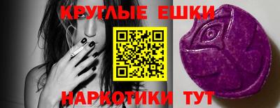 a pvp Камышлов