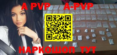 a pvp Камышлов