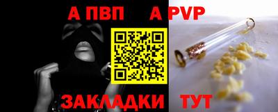 a pvp Камышлов